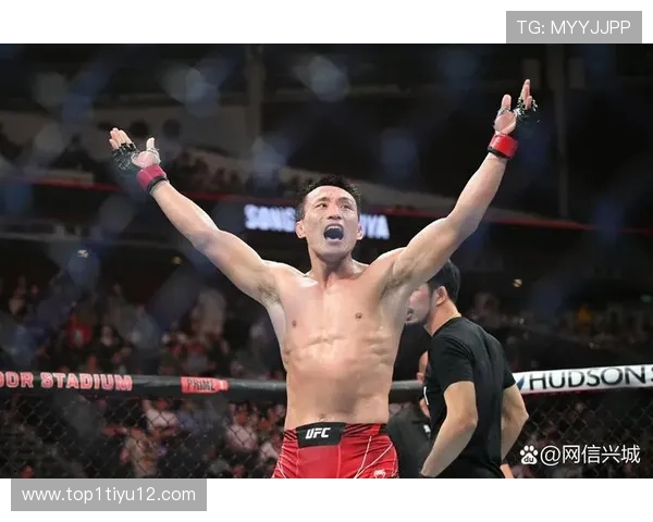 UFC终极格斗冠军赛高清直播在线观看